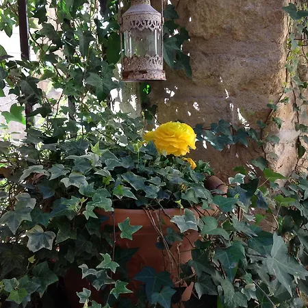 Un Patio En Luberon